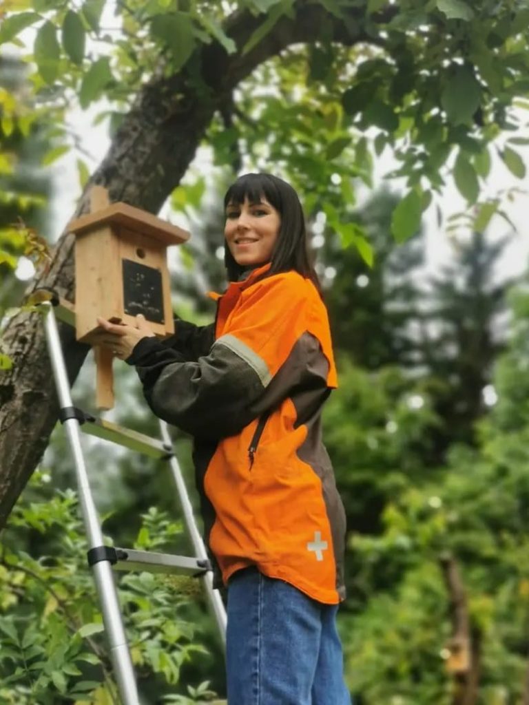 Vogelfütterung Nistkasten Vogelfütterung Nistkasten
