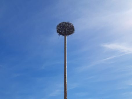 fertiges Storchennest fertiges Storchennest