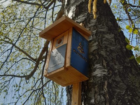 Nistkasten_Montage_bringbackbirds Nistkasten_Montage_bringbackbirds