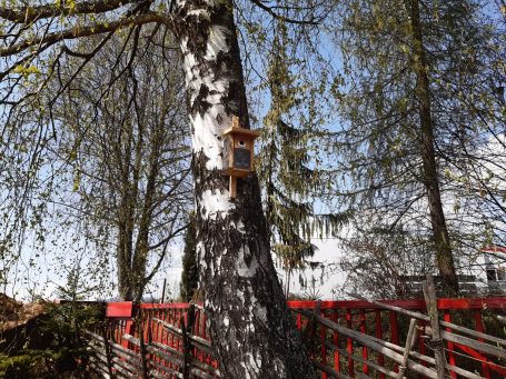 Nistkasten_bringbackbirds Nistkasten_bringbackbirds